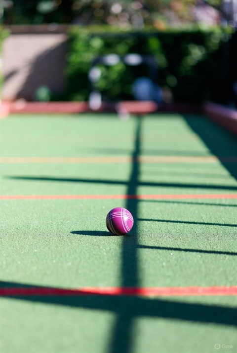 Purple ball on a sunlit green field marked with red lines, casting a shadow. Blurred garden background conveys a serene outdoor setting.
