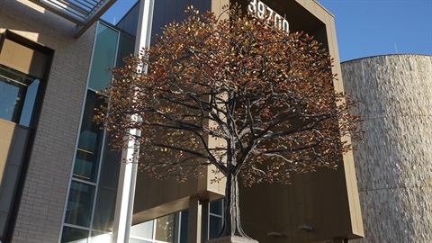 A lifelike metal tree sculpture with orange and brown leaves sits in front of a modern glass and brick building, casting artistic shadows, under a clear blue sky.